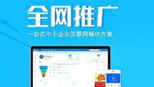 企業(yè)全網(wǎng)營銷全攻略 借助互聯(lián)網(wǎng)實現(xiàn)高效客戶引流與網(wǎng)絡(luò)推廣